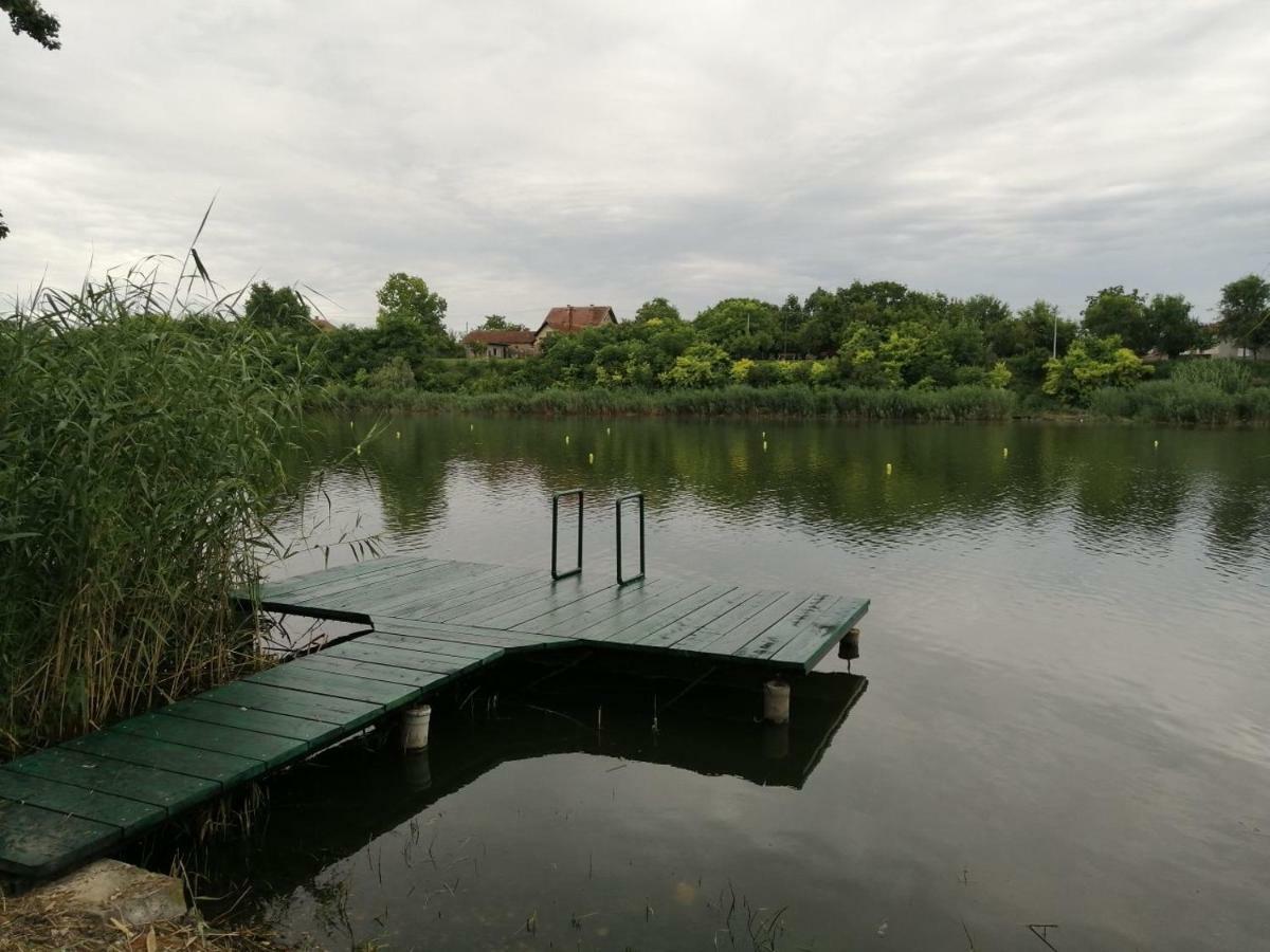 Villa Oaza Kuca Za Odmor Curug Exterior foto
